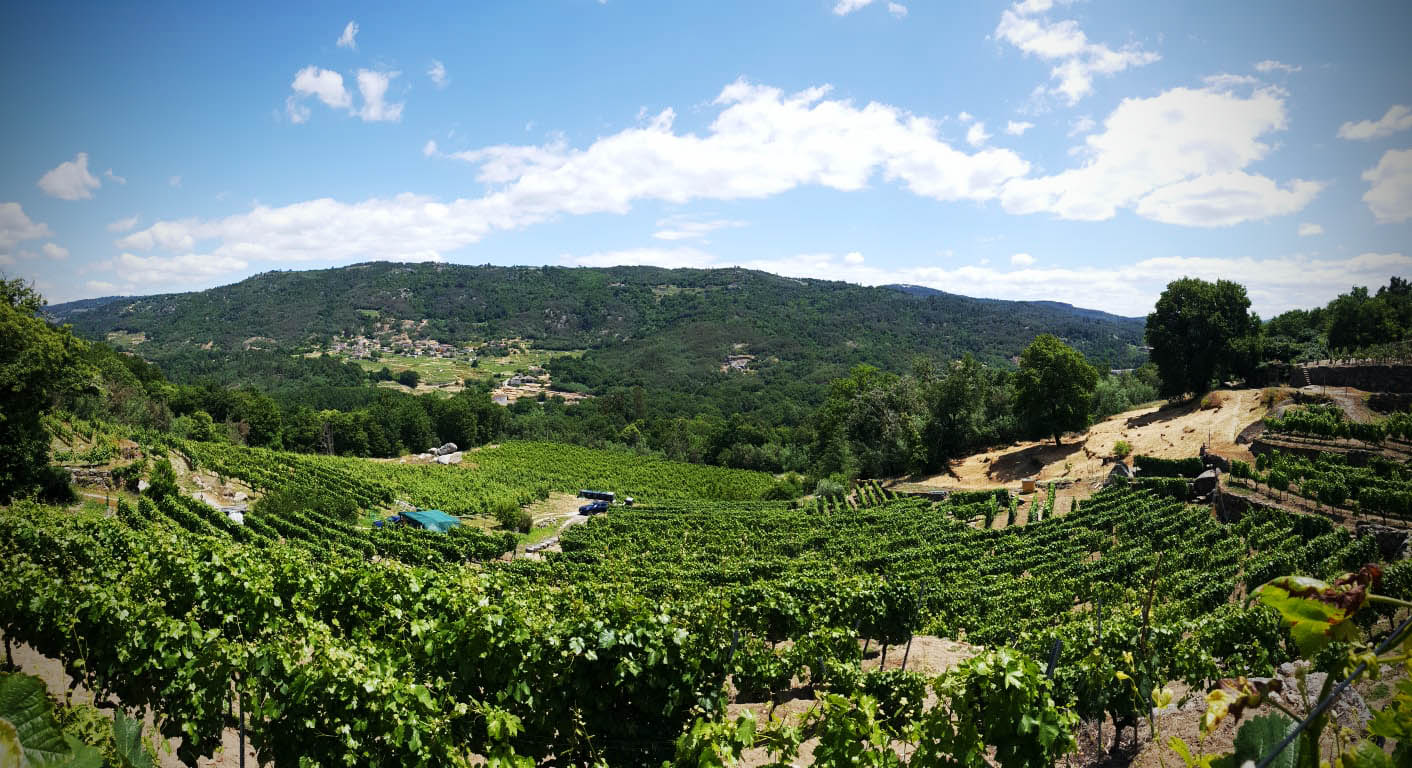 Con Viña Meín y Emilio Rojo, Alma Carraovejas aterriza en Ribeiro en 2019.