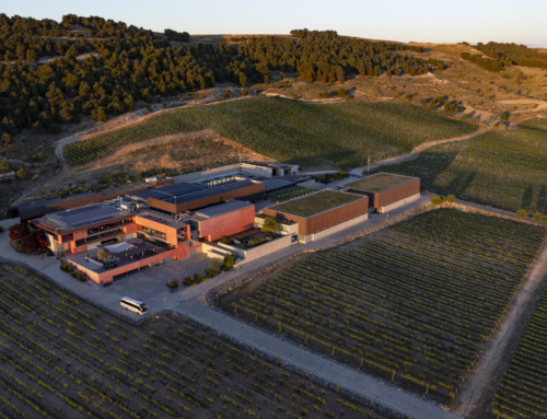 Renovación del sello Gold de la International Wineries for Climate Action