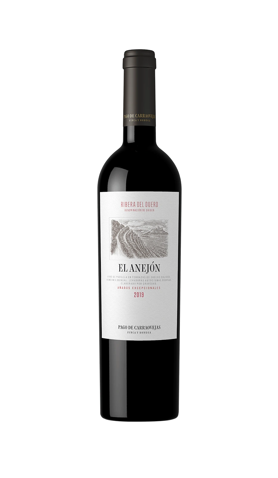 El Anejón 2019
