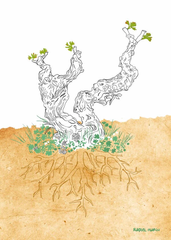 Arte y territorio: una mirada al paisaje del vino
