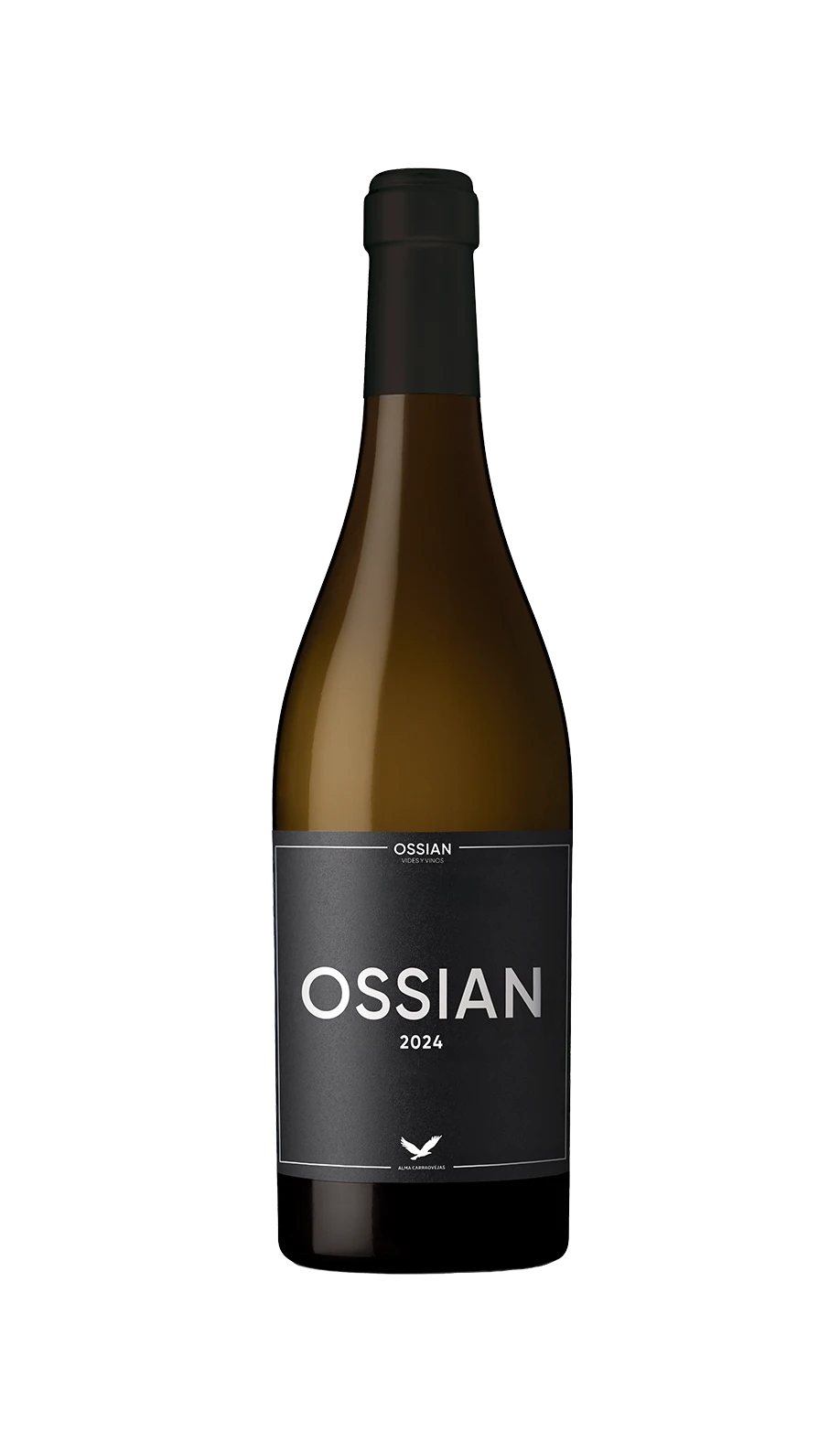 Ossian 24