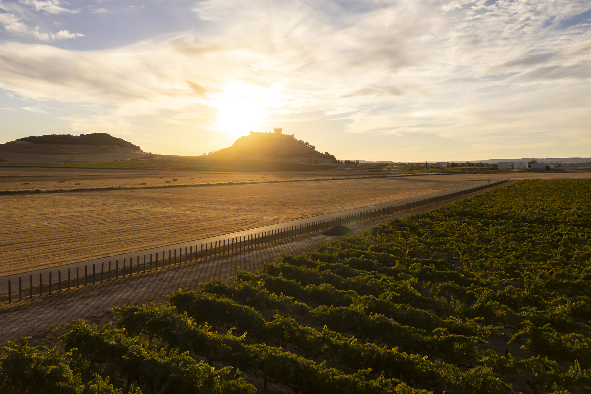 We are moving toward a more sustainable future for the wine industry with the renewal of the IWCA's GOLD category